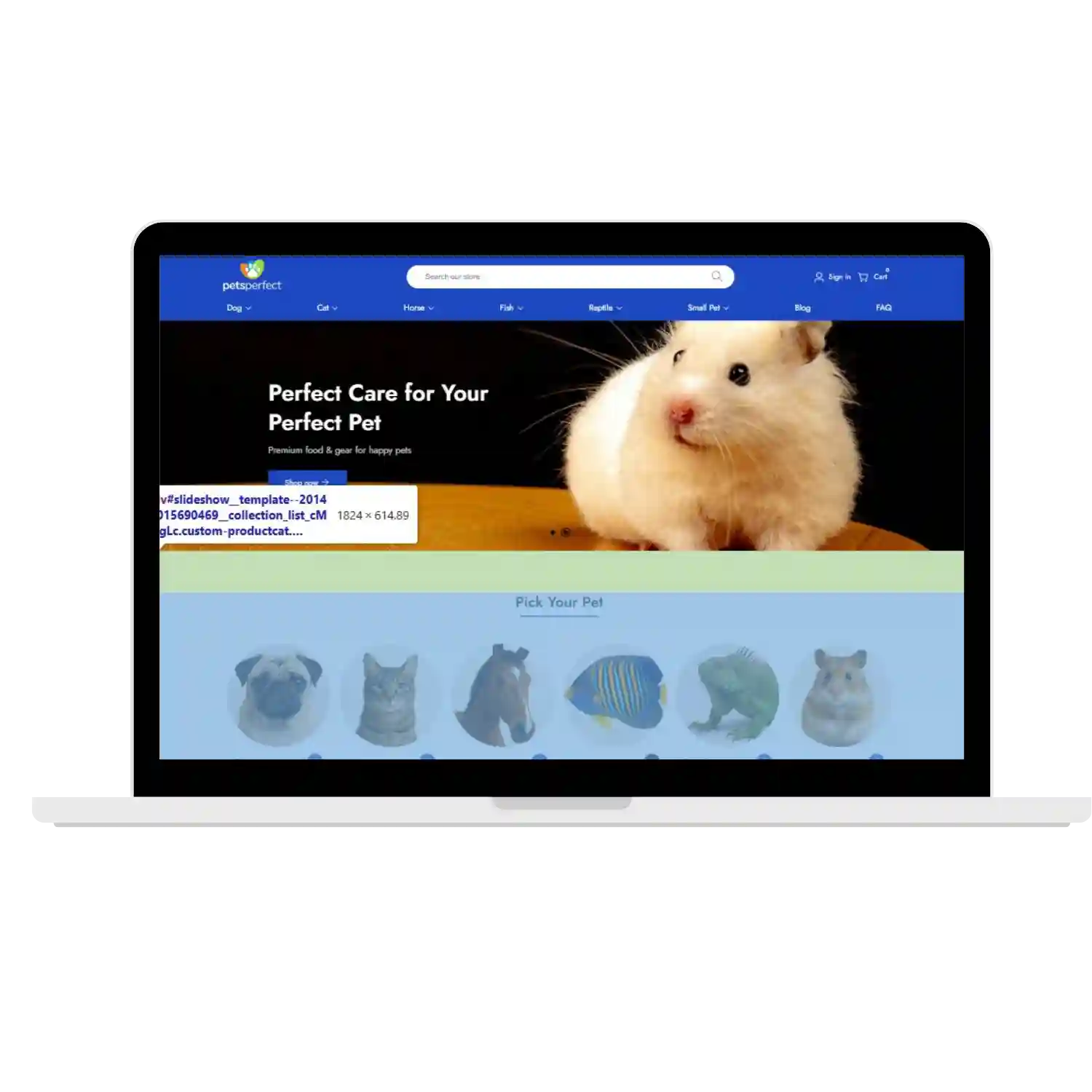 Pets Perfect Before